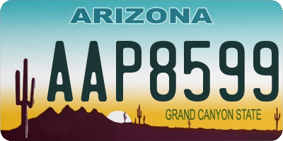 AZ license plate AAP8599