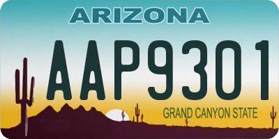 AZ license plate AAP9301