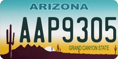 AZ license plate AAP9305