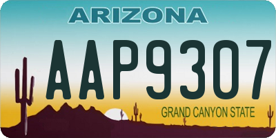 AZ license plate AAP9307