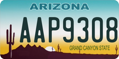 AZ license plate AAP9308