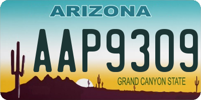 AZ license plate AAP9309