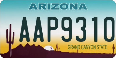 AZ license plate AAP9310