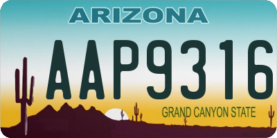 AZ license plate AAP9316