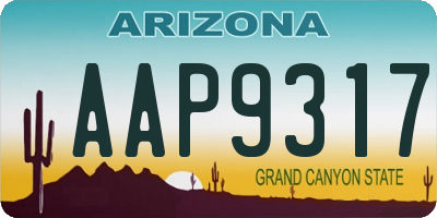 AZ license plate AAP9317