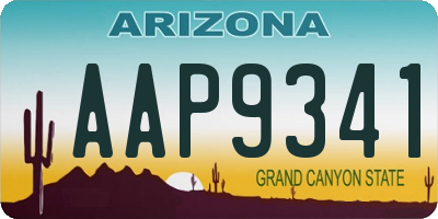 AZ license plate AAP9341