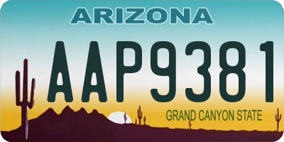 AZ license plate AAP9381