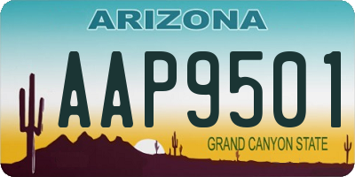 AZ license plate AAP9501