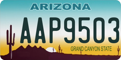 AZ license plate AAP9503