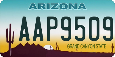 AZ license plate AAP9509