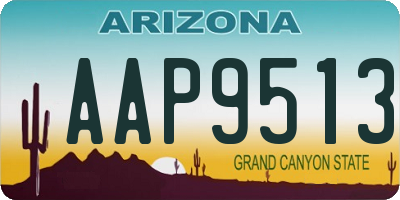 AZ license plate AAP9513