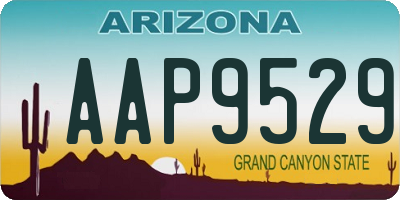 AZ license plate AAP9529