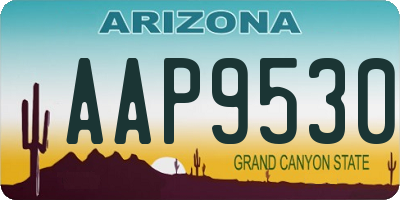 AZ license plate AAP9530