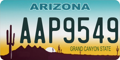 AZ license plate AAP9549