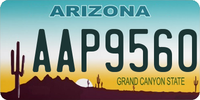 AZ license plate AAP9560