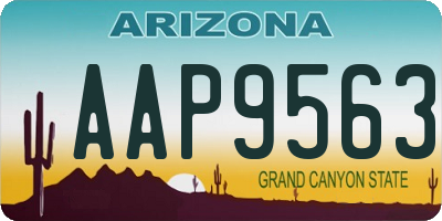 AZ license plate AAP9563