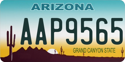 AZ license plate AAP9565