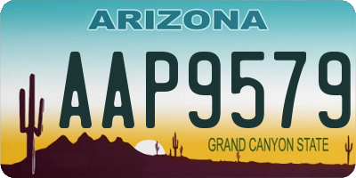 AZ license plate AAP9579