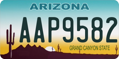 AZ license plate AAP9582