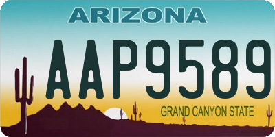 AZ license plate AAP9589