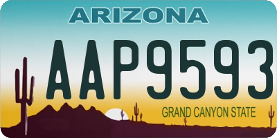 AZ license plate AAP9593