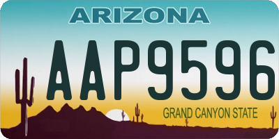 AZ license plate AAP9596