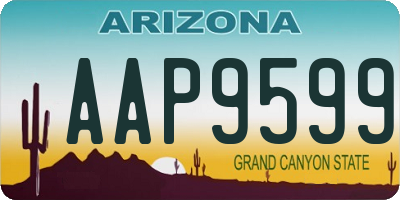 AZ license plate AAP9599