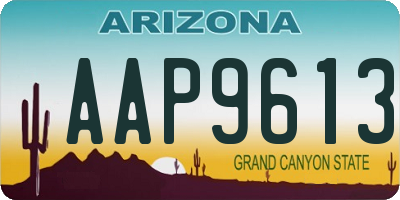 AZ license plate AAP9613