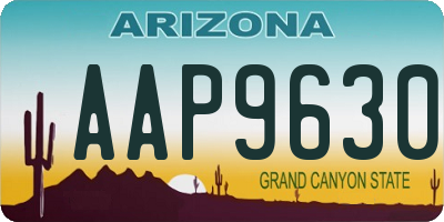 AZ license plate AAP9630