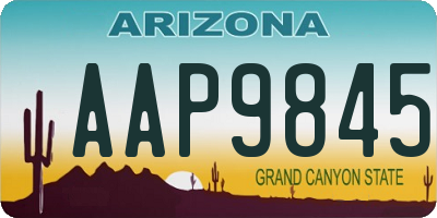 AZ license plate AAP9845