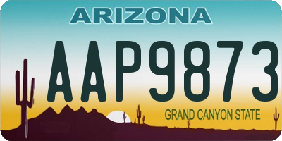 AZ license plate AAP9873