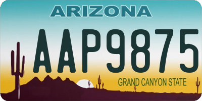 AZ license plate AAP9875