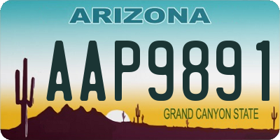 AZ license plate AAP9891