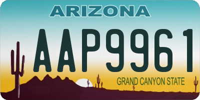 AZ license plate AAP9961