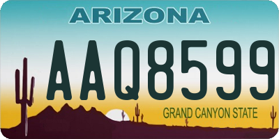 AZ license plate AAQ8599