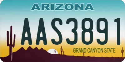 AZ license plate AAS3891