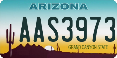 AZ license plate AAS3973