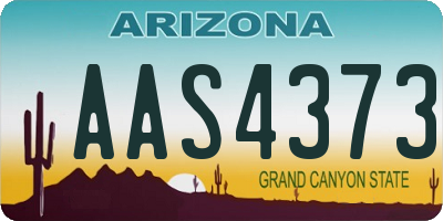 AZ license plate AAS4373