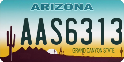 AZ license plate AAS6313