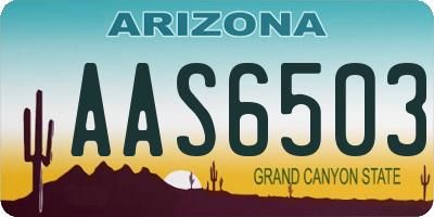 AZ license plate AAS6503