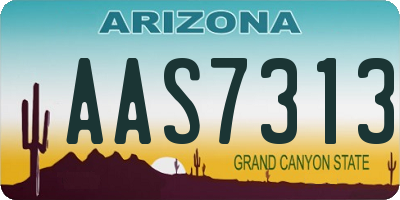 AZ license plate AAS7313