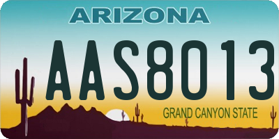 AZ license plate AAS8013