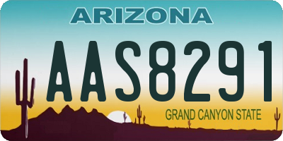 AZ license plate AAS8291