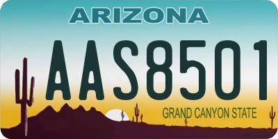 AZ license plate AAS8501