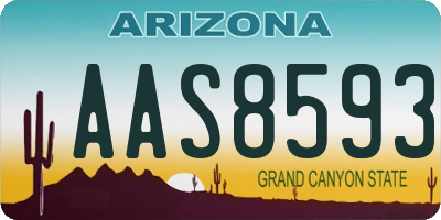 AZ license plate AAS8593
