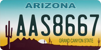 AZ license plate AAS8667