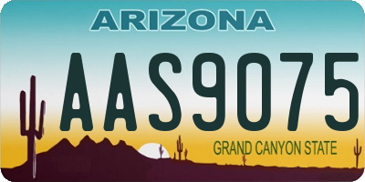 AZ license plate AAS9075