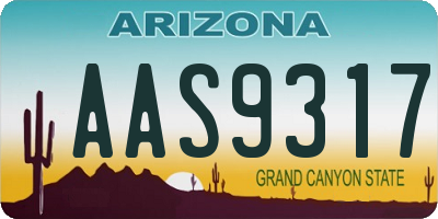 AZ license plate AAS9317