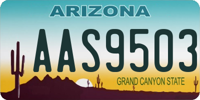 AZ license plate AAS9503