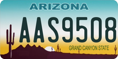 AZ license plate AAS9508